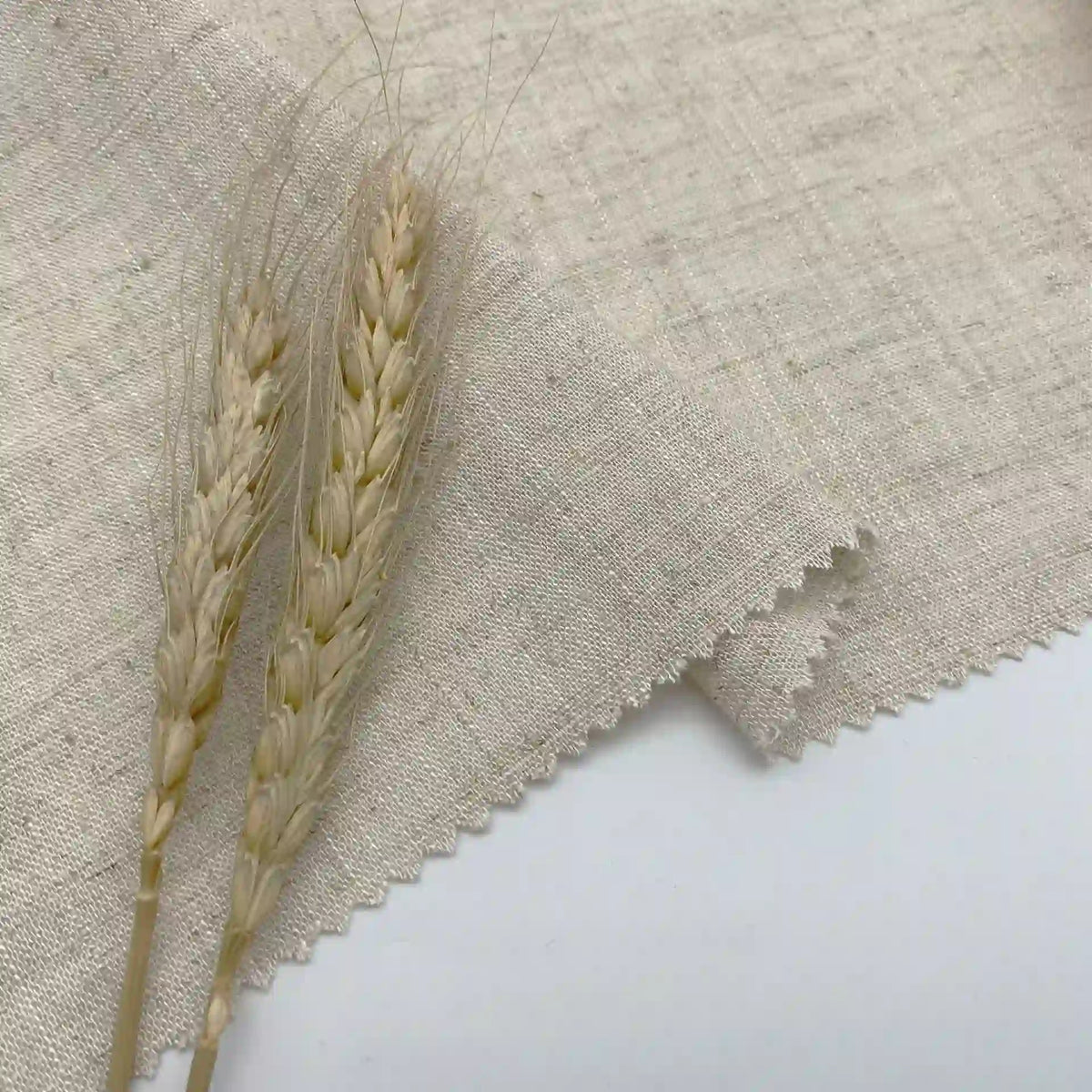 Deux tiges de blé reposent sur le Tissu lin viscose au mètre de Longan Craft France, un tissu en viscose cellulosique multicolore beige et texturé avec des bords coupés en zigzag, idéal pour l'été, présenté sur une surface blanche.